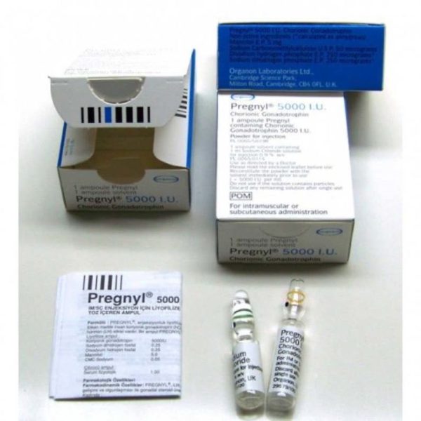 Pregnyl(HCG) - Image 2